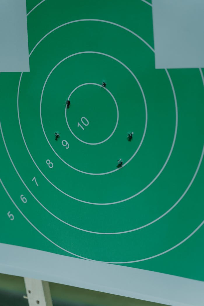 Close-up of a green shooting target with bullet holes and numbered rings.